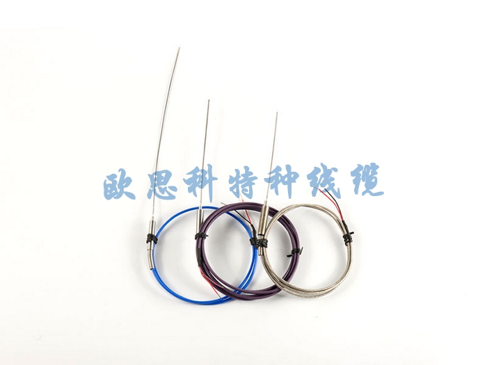 直徑0.5微細(xì)鎧裝熱電偶