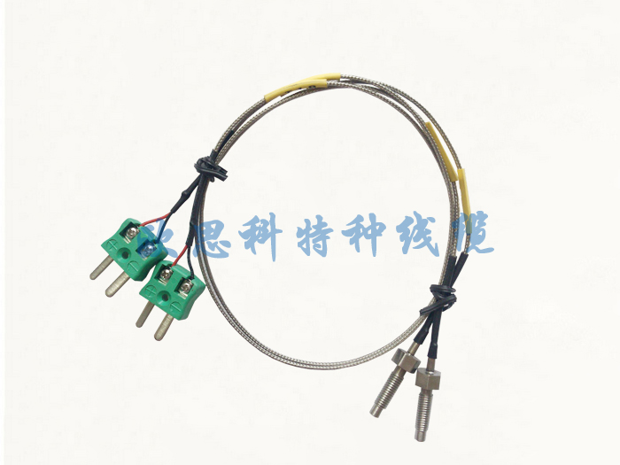 快響應(yīng)絕緣熱電偶