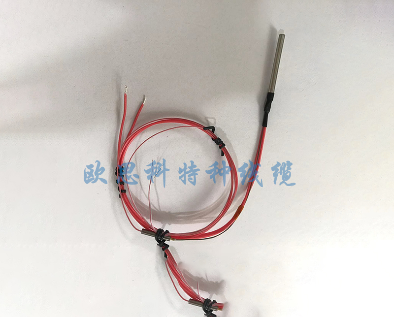 帶熱電偶電加熱器 