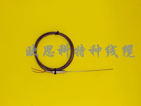 探針式鎧裝熱電偶
