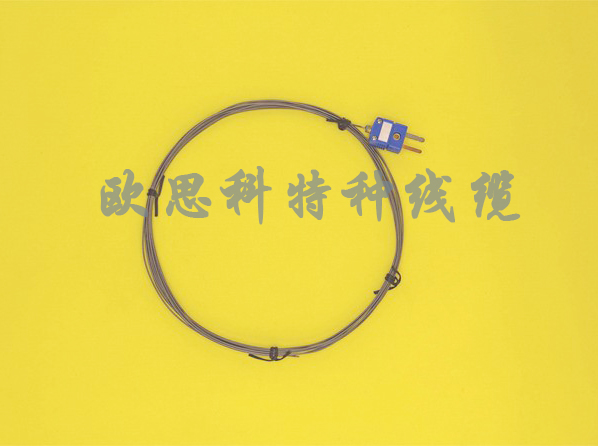 帶插頭熱電偶