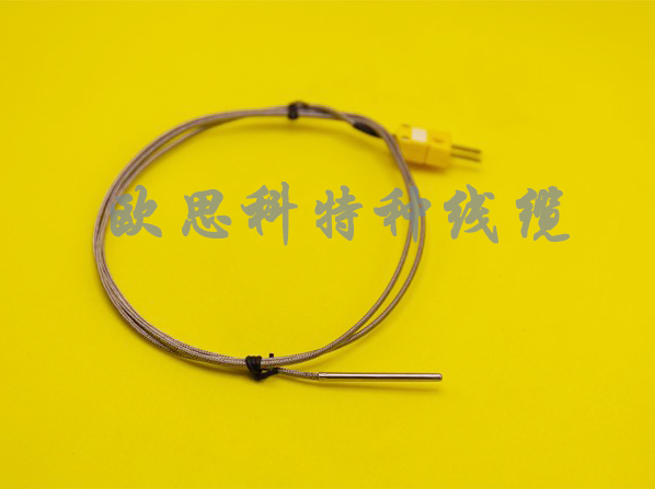 帶插頭熱電偶